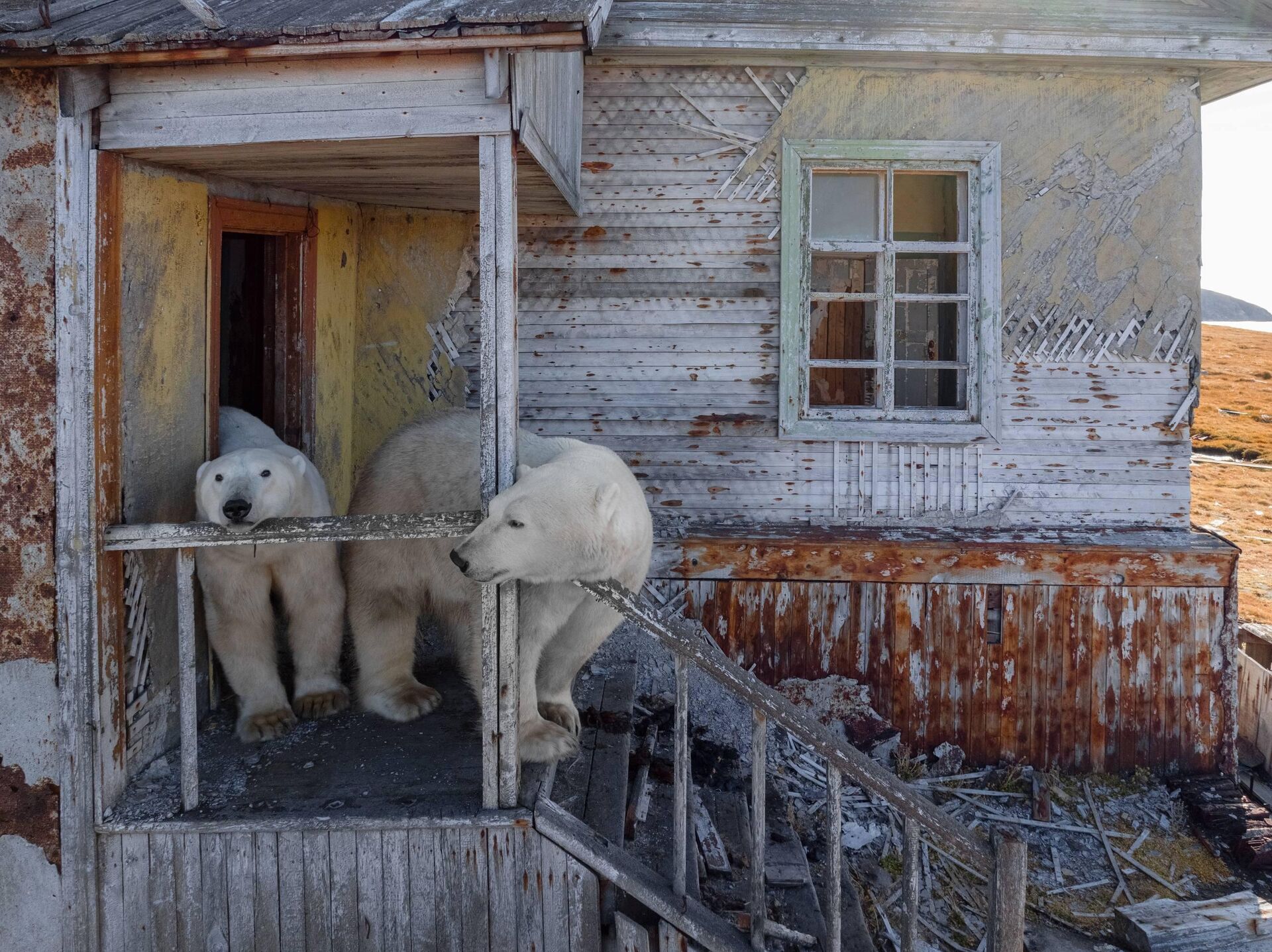 Вадим Махоров. 