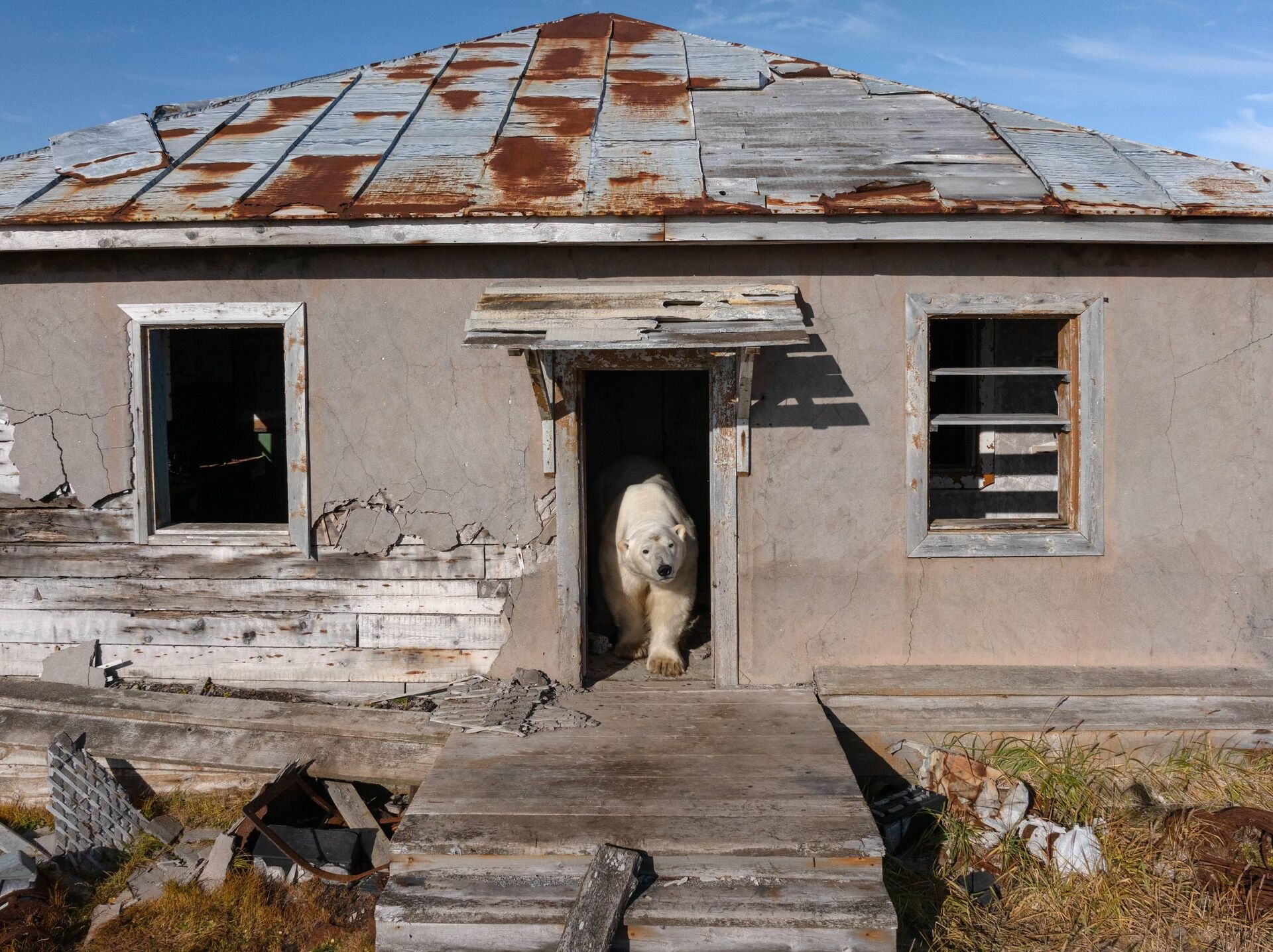 Белые медведи захватили заброшенную полярную станцию на Чукотке  - Sputnik Беларусь, 1920, 27.09.2025