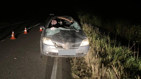 На месте ДТП - Sputnik Беларусь