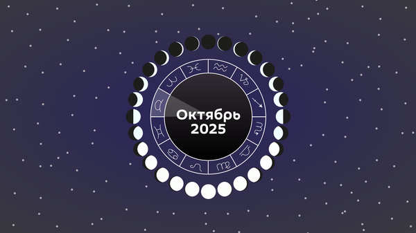 Лунный календарь садовода и огородника на октябрь 2025 - Sputnik Беларусь