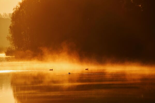   - Sputnik Беларусь