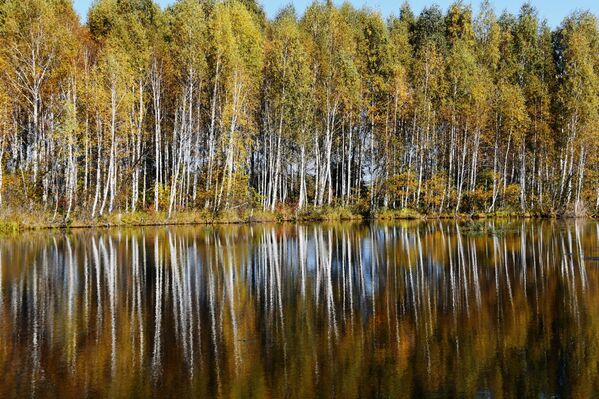   - Sputnik Беларусь