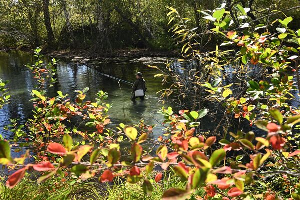   - Sputnik Беларусь