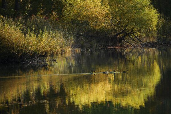   - Sputnik Беларусь