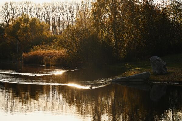   - Sputnik Беларусь