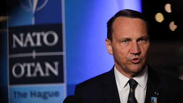 Радослав Сикорский - Sputnik Беларусь