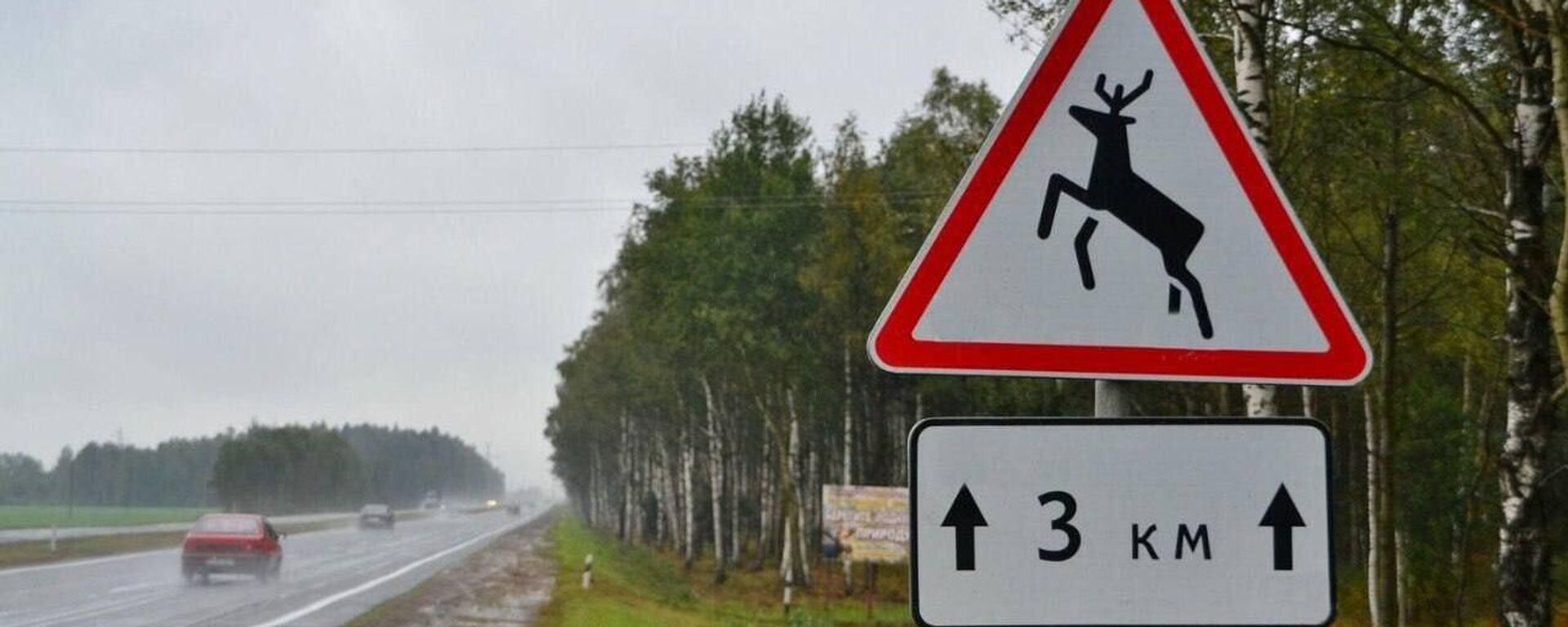 Знак Дзікія жывёлы на дарозе - Sputnik Беларусь, 1920, 17.04.2026