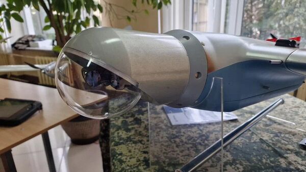 Дрон-камикадзе Чекан В - Sputnik Беларусь