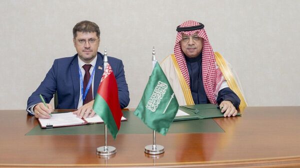 Беларусь и Саудовская Аравия подписали документ о развитии авиаперевозок - Sputnik Беларусь