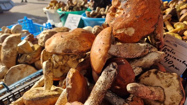 Грибы на Комаровке - Sputnik Беларусь