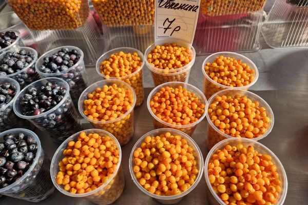   - Sputnik Беларусь