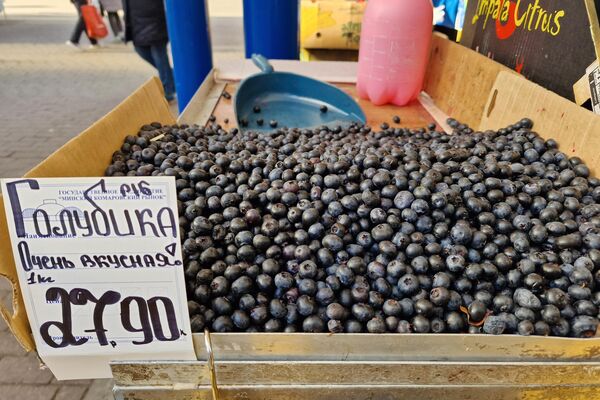   - Sputnik Беларусь