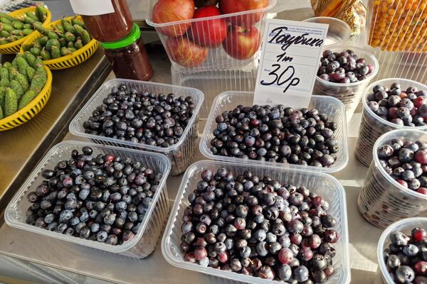   - Sputnik Беларусь