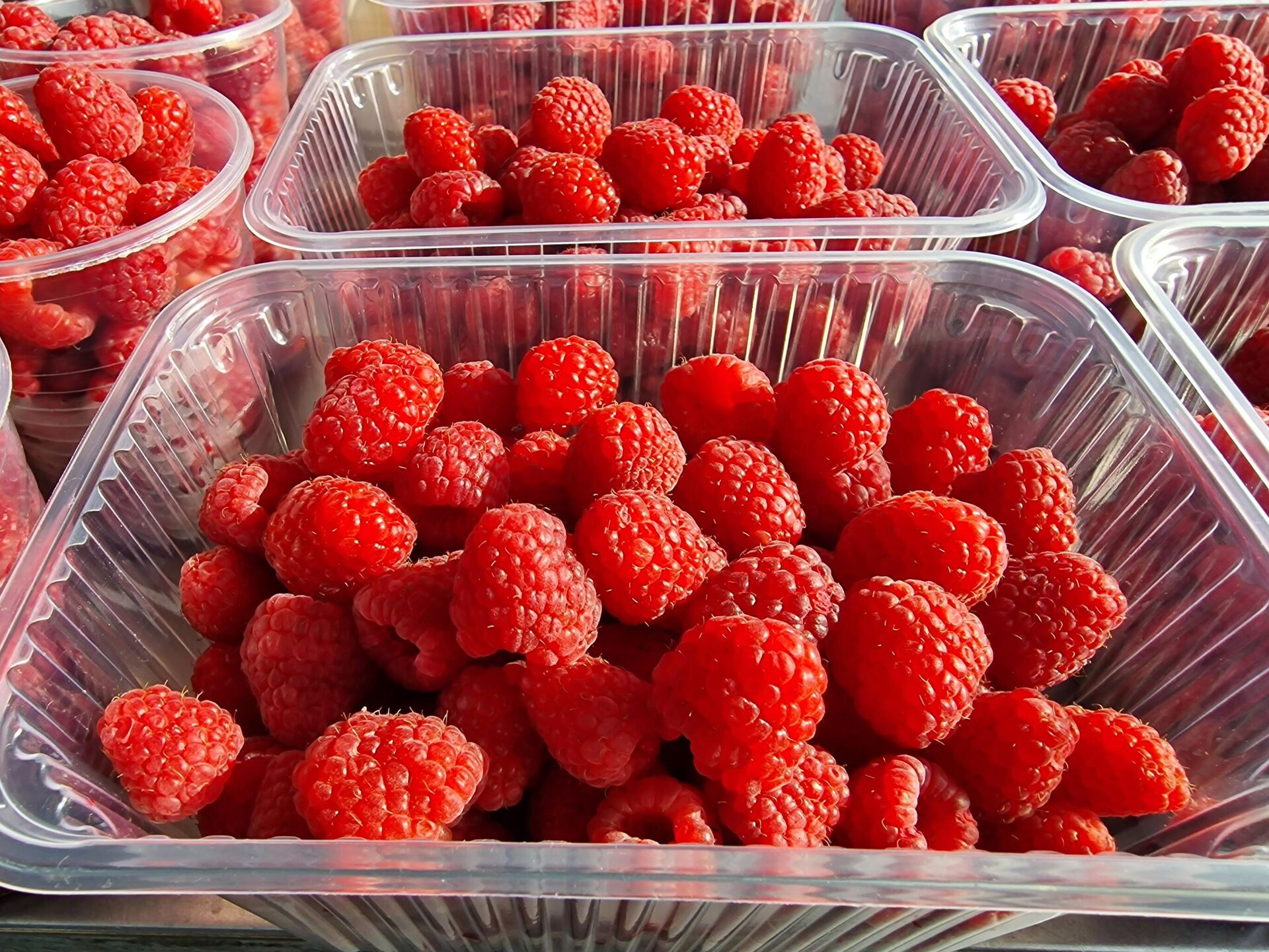 Малина на Комаровке - Sputnik Беларусь, 1920, 02.10.2025