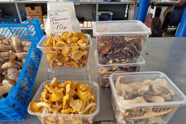   - Sputnik Беларусь