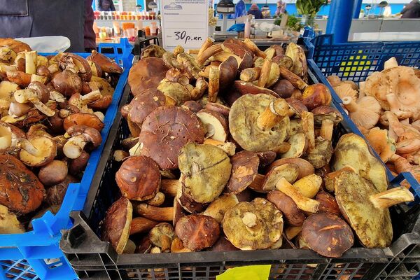   - Sputnik Беларусь