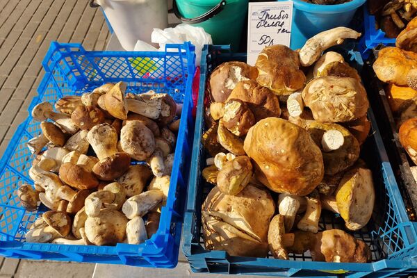   - Sputnik Беларусь