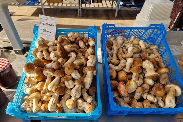   - Sputnik Беларусь