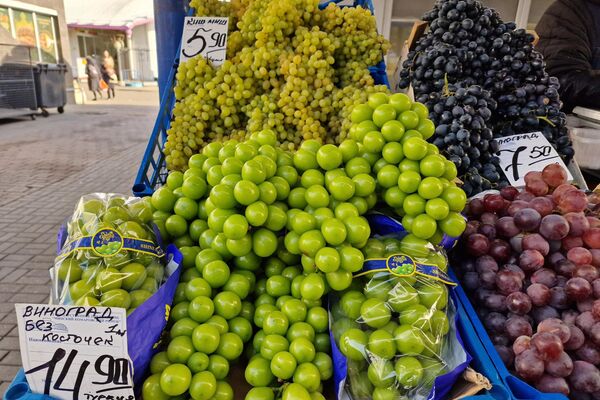   - Sputnik Беларусь