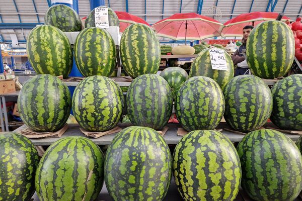   - Sputnik Беларусь