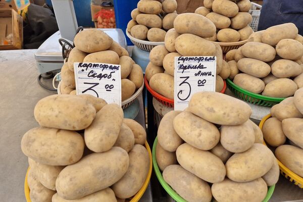   - Sputnik Беларусь