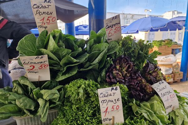   - Sputnik Беларусь