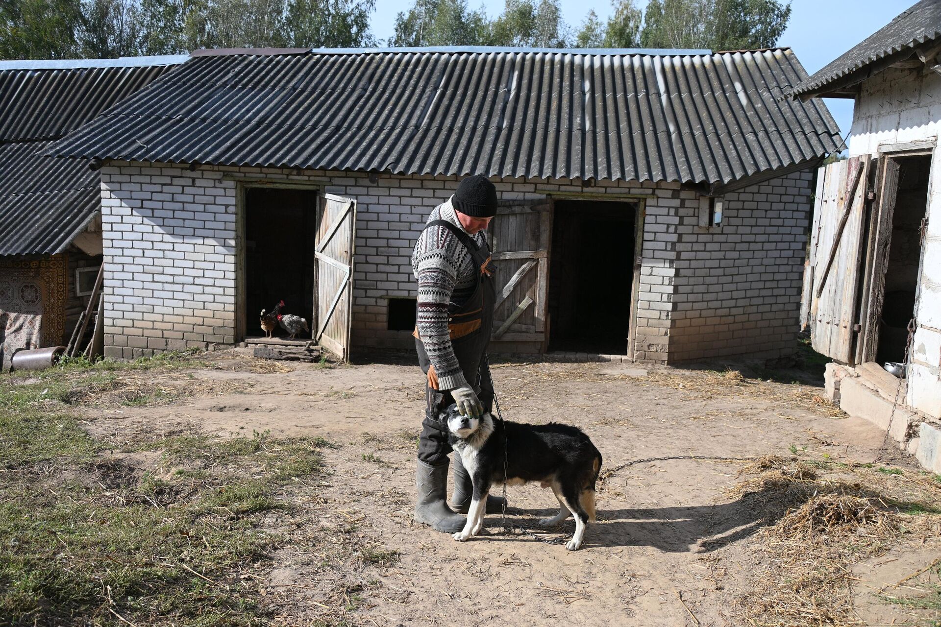 У многодетной семьи Сенько из агрогородка Лошаны сгорела ферма, а вместе с ней ― заживо 28 коров.