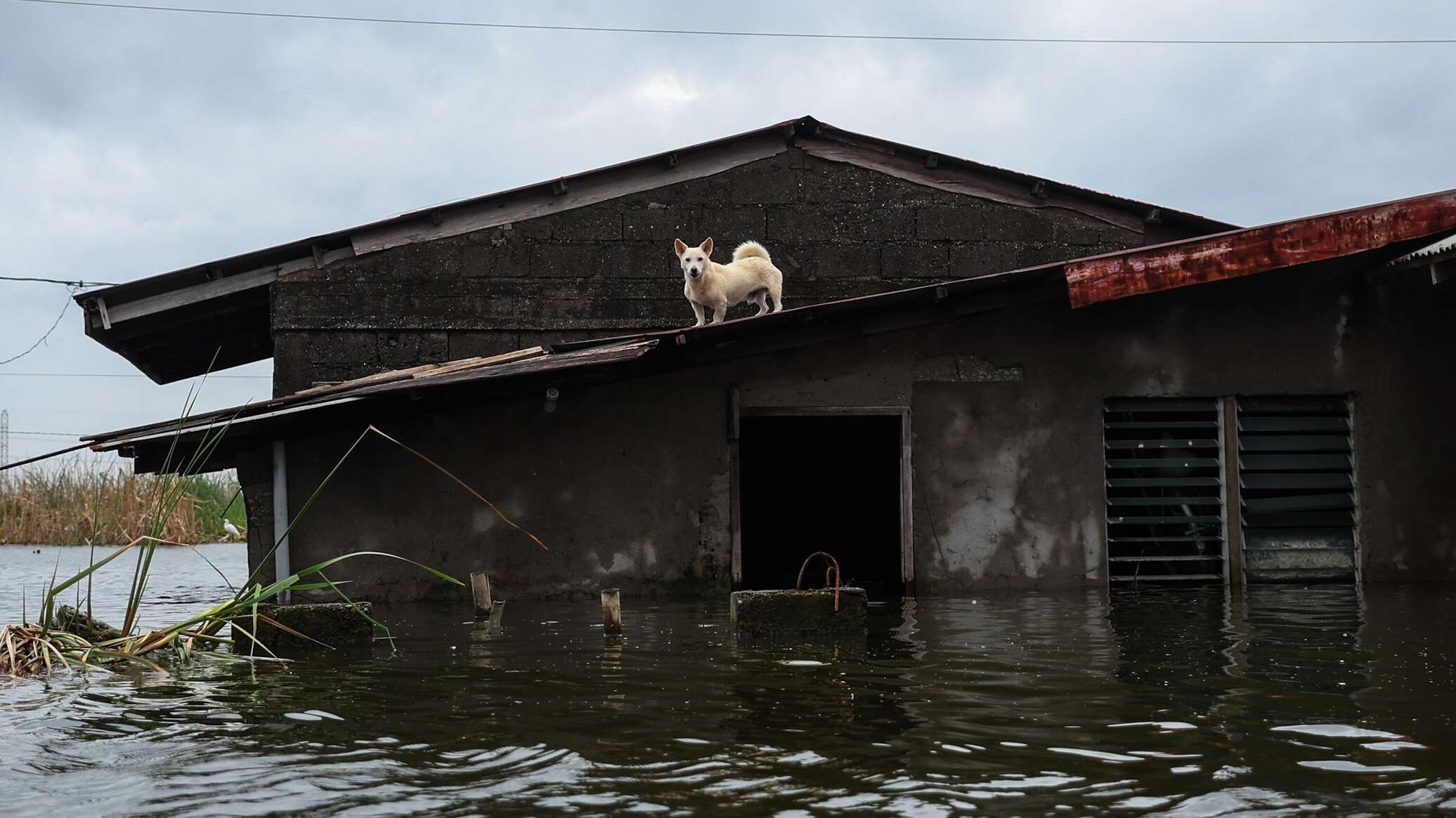 СМИ: 51 человек погиб от тайфуна "Буалой" во Вьетнаме, ущерб достиг 1 млн