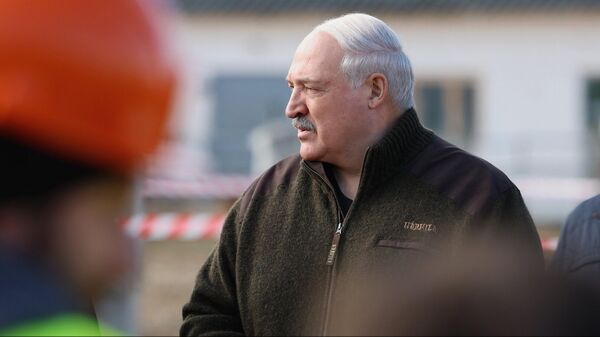 Президент Беларуси Александр Лукашенко - Sputnik Беларусь