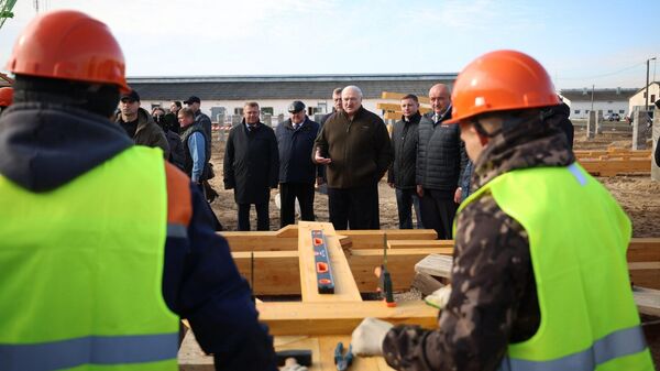 Александр Лукашенко в Петриковском районе - Sputnik Беларусь