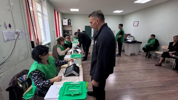 Выборы в органы местной власти в Грузии  - Sputnik Беларусь