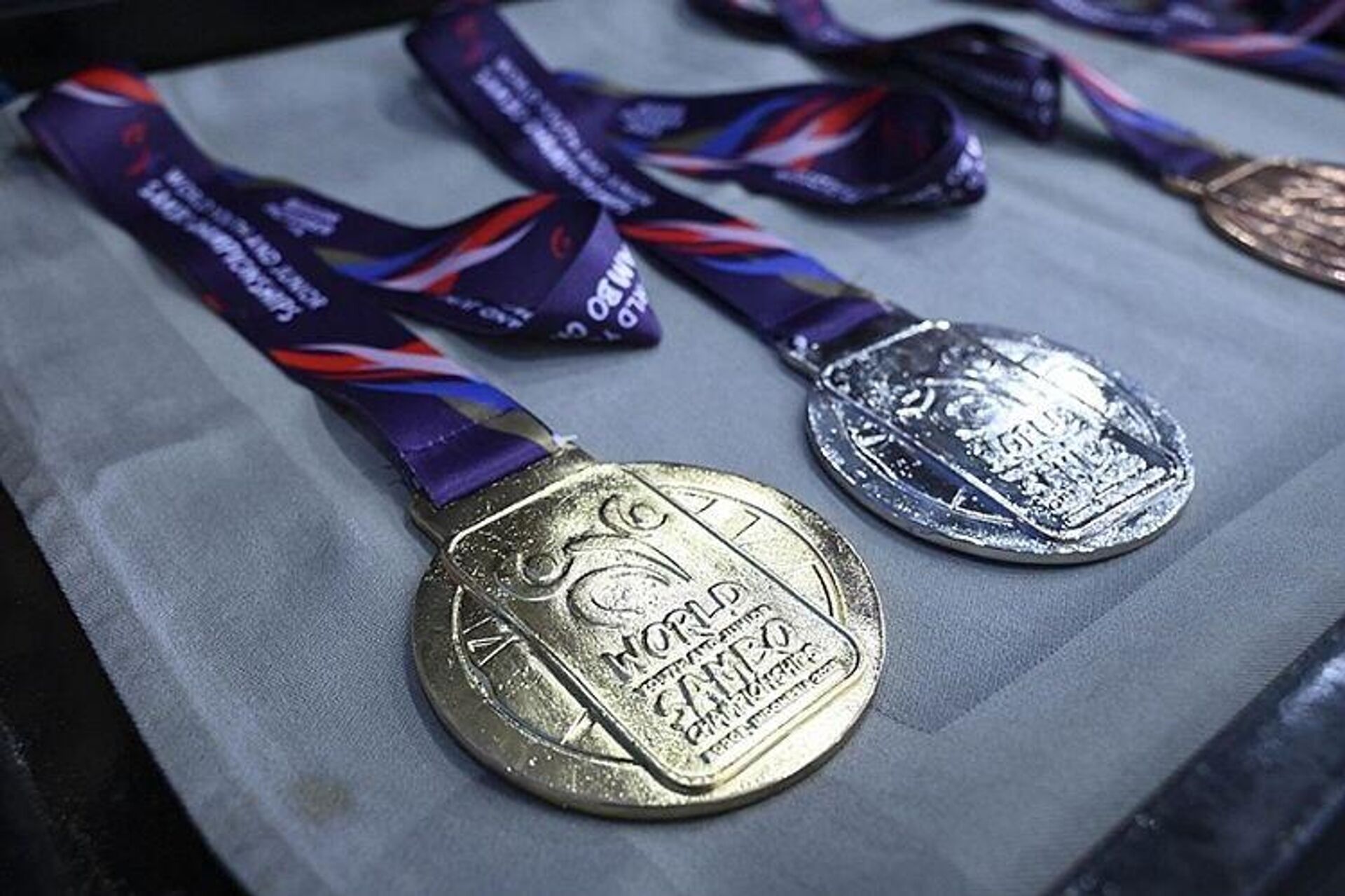 Награды чемпионата мира по самбо - Sputnik Беларусь, 1920, 09.12.2025