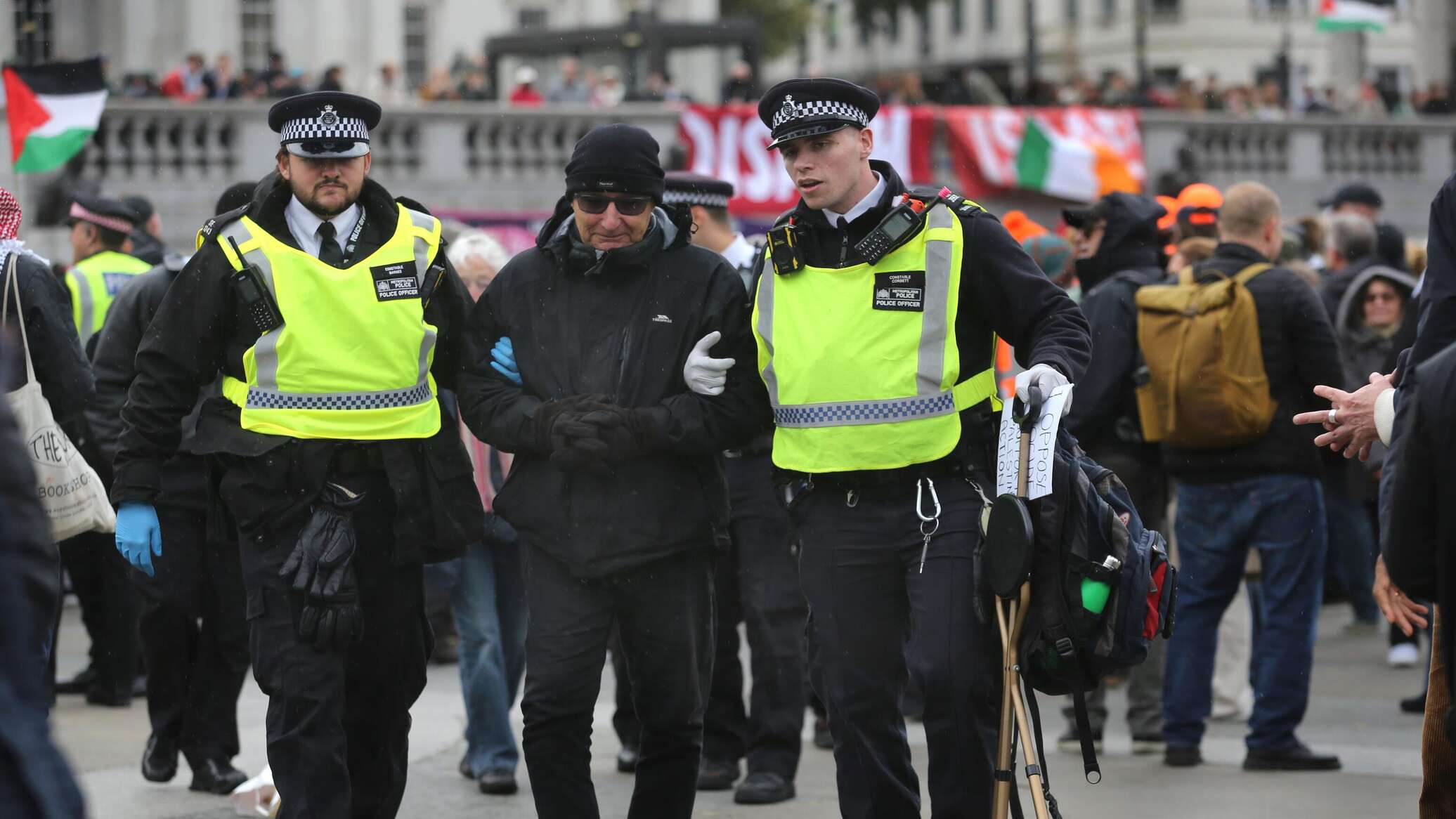 Почти 500 человек задержаны на митинге в Лондоне — самому старшему 89 лет