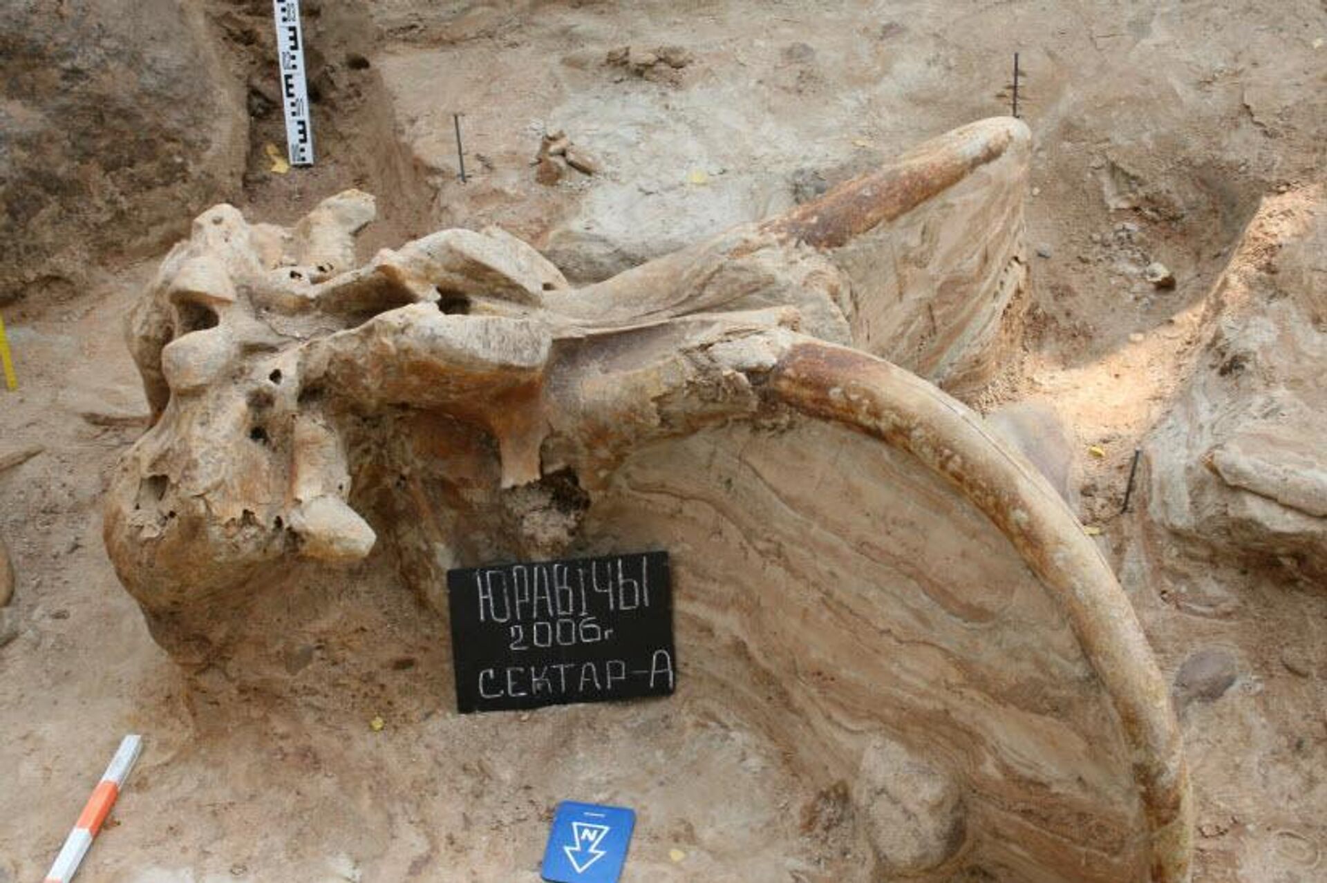 Археологический комплекс Юровичи Археологический комплекс Юровичи - Sputnik Беларусь, 1920, 09.10.2025