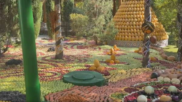 Резиденцию в Душанбе украсили пирамидами фруктов к визиту Путина (видео) - Sputnik Беларусь
