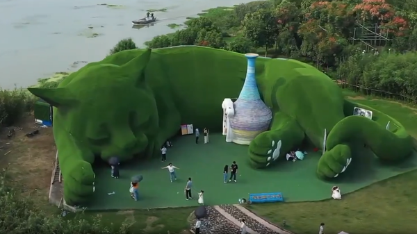 Сотни бродячих котов нашли приют на острове в Китае (видео) - Sputnik Беларусь