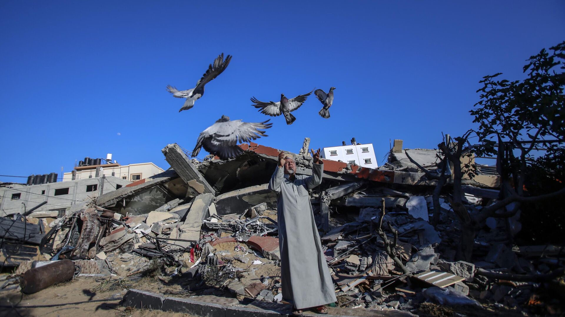 Эрдоган: гуманитарные коридоры в Газу намеренно блокируются Эрдоган: гуманитарные коридоры в Газу намеренно блокируются