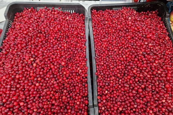 Ягоды на Комаровском рынке - Sputnik Беларусь