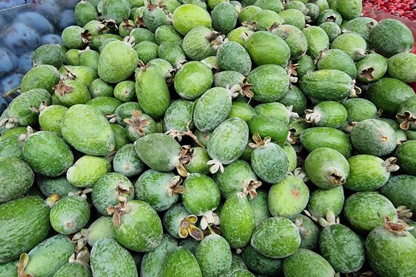 Фейхоа на Комаровском рынке - Sputnik Беларусь