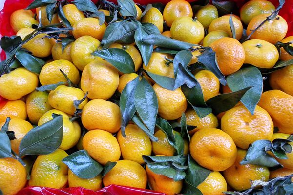 Фрукты на Комаровском рынке - Sputnik Беларусь