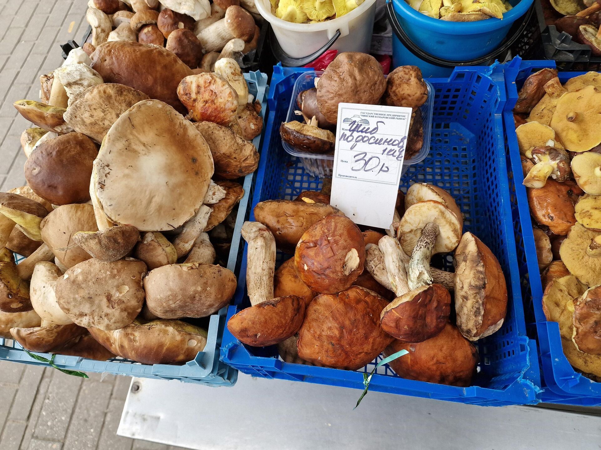 Грибы на Комаровском рынке - Sputnik Беларусь, 1920, 16.10.2025