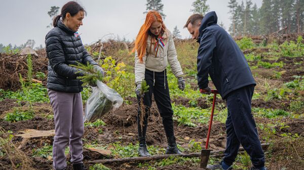 Русский дом в Гродно присоединился к акции Дай лесу новае жыццё! - Sputnik Беларусь