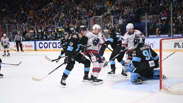 Матч между ХК Динамо-Минск и ХК Нефтехимик - Sputnik Беларусь