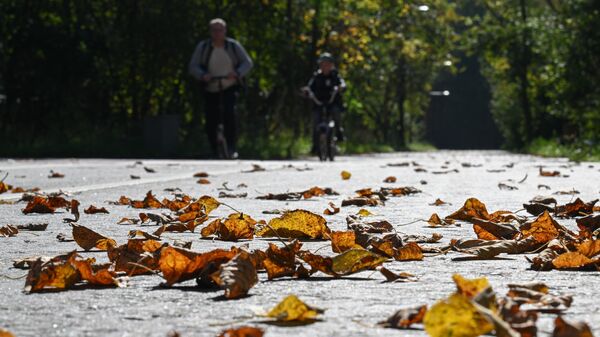 Опавшая листва на дороге, архивное фото - Sputnik Беларусь