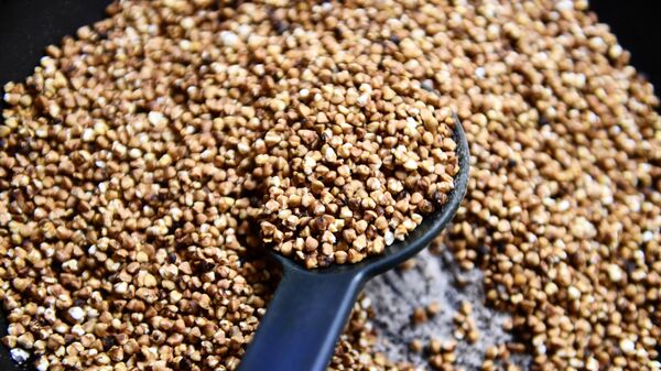 Гречневая крупа - Sputnik Беларусь