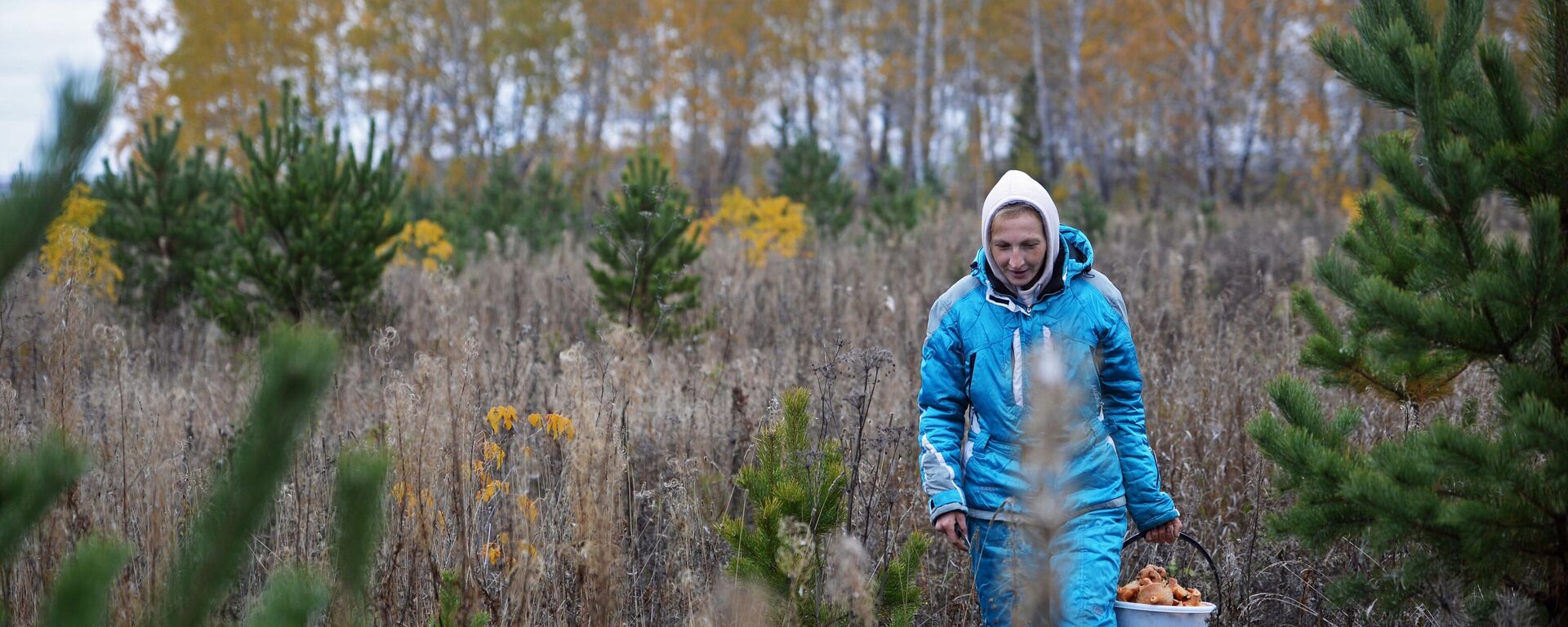 Женщина во время сбора рыжиков - Sputnik Беларусь, 1920, 19.10.2025