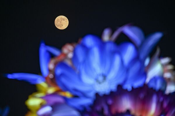 Полная Луна в Сучжоу, провинция Цзясу, Китай. - Sputnik Беларусь