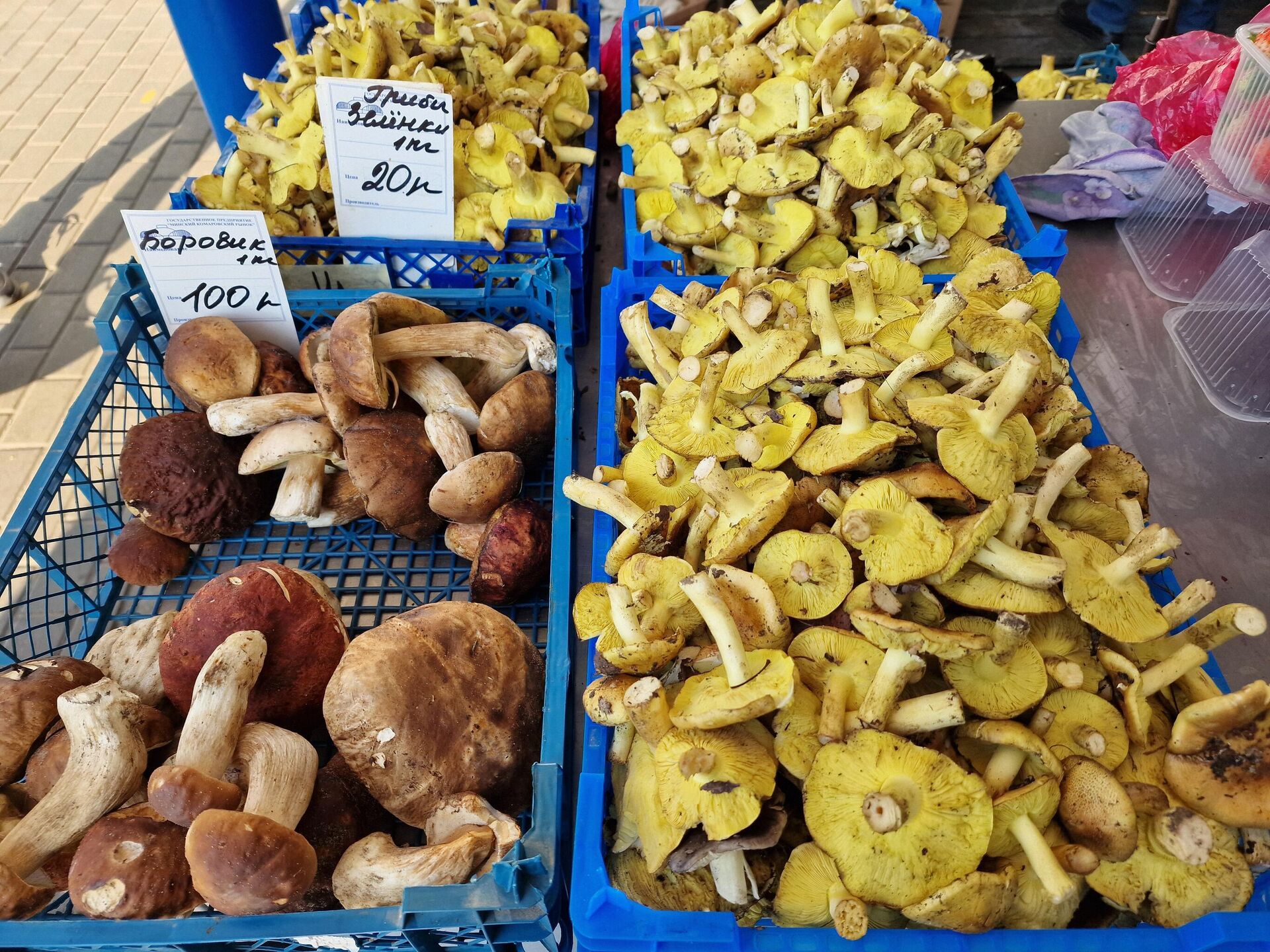 Цены на Комаровке - Sputnik Беларусь, 1920, 23.10.2025