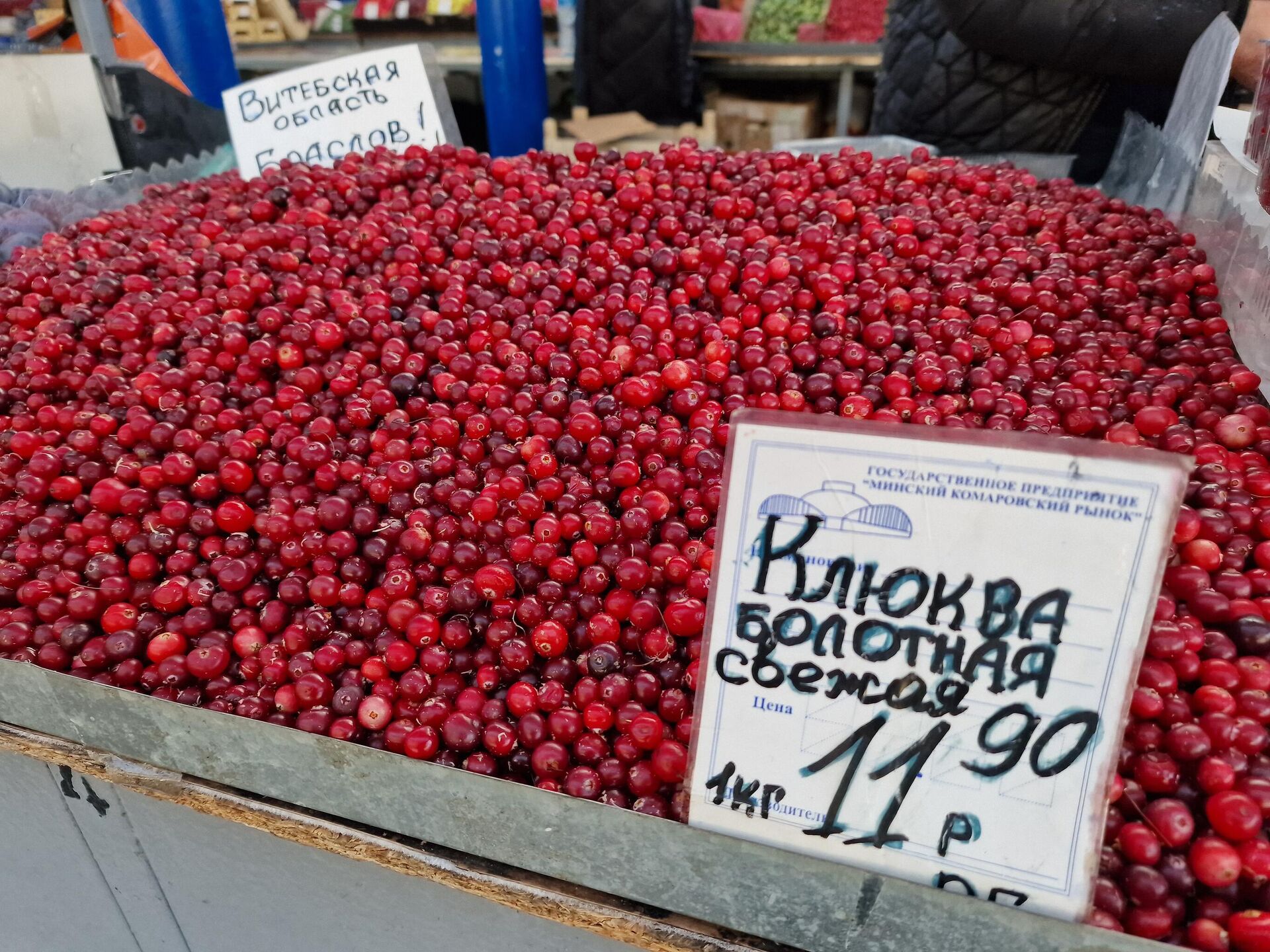 Цены на Комаровке - Sputnik Беларусь, 1920, 23.10.2025