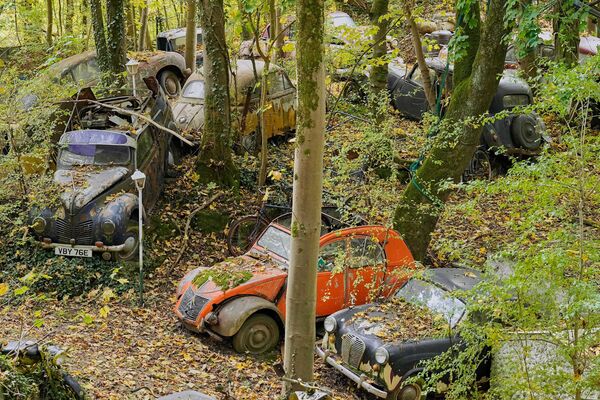 Автомобили 1950 года выпуска ржавеют в лесу в частном парке автомобильных скульптур в Неандертальской долине в Меттманне.